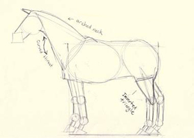 dibujo caballo - paso 3