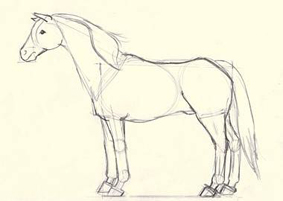 dibujo caballo - paso 4