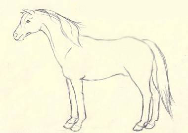 dibujo caballo - ultimo paso